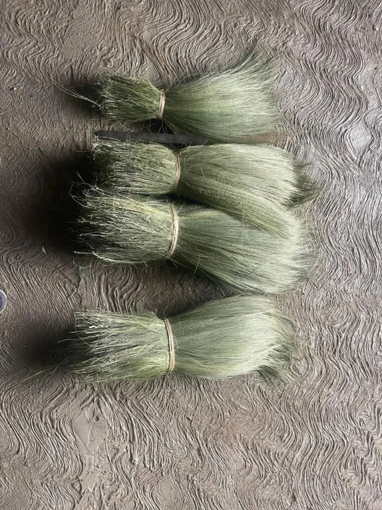 rayung broom sticks wholesale, rayung broom sticks supplier, rayung broom sticks Indonesia, rayung broom material, natural broom sticks supplier, broom stick wholesale supplier, Indonesian broom sticks
