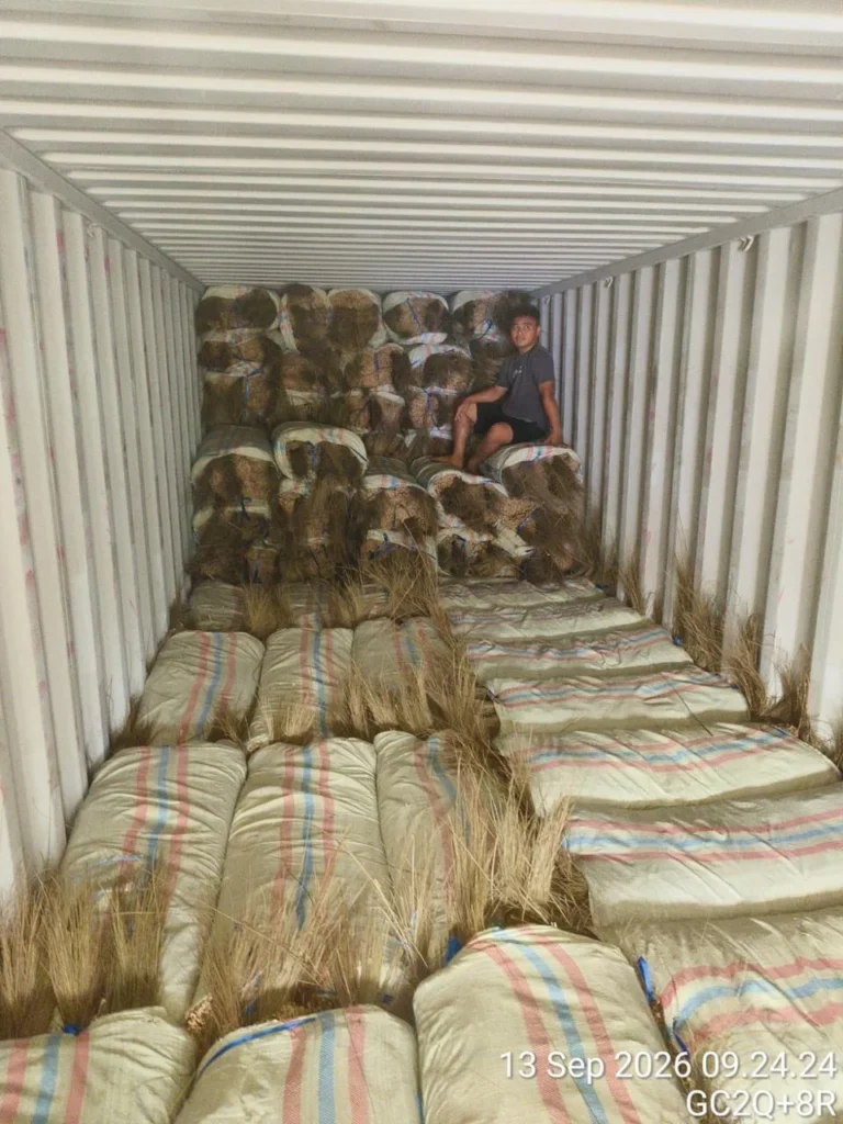 Broom Sticks Supplier Indonesia | CV Jaya Berkah Java
