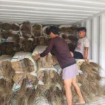 Palm Broom Sticks Supplier in Indonesia