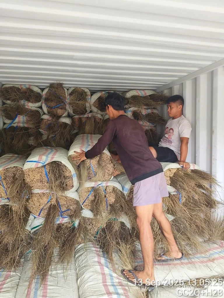 palm broom sticks supplier Indonesia, palm broom stick supplier, palm broom sticks wholesale, palm broom raw materials, Indonesian broom stick supplier, natural broom sticks supplier, palm stick supplier
