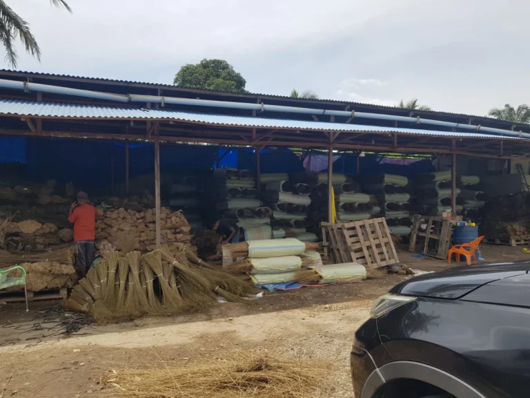 Broom Sticks Supplier Indonesia | CV Jaya Berkah Java